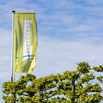 Jonge planten